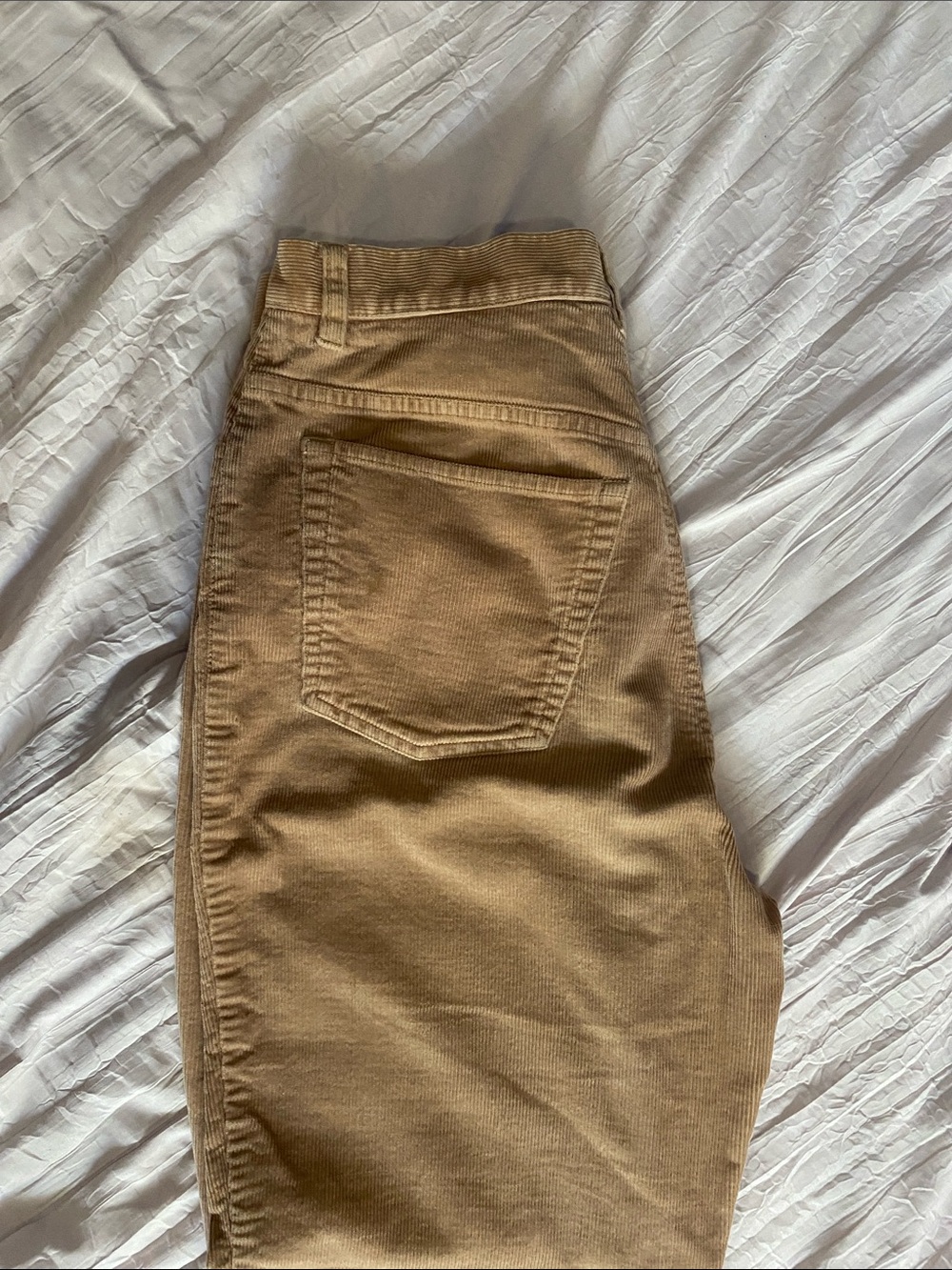 Corduroy Pants in Tan – Straight Fit